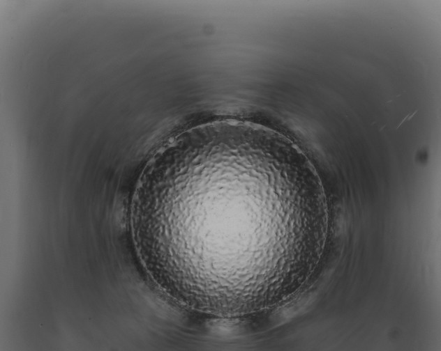 X0000089960273200707061146