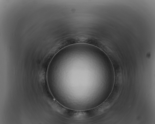 X0000089960274200707061146