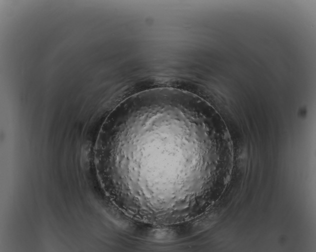 X0000089960275200707061146