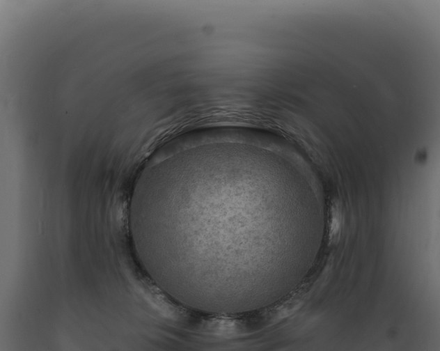 X0000089960276200707061146