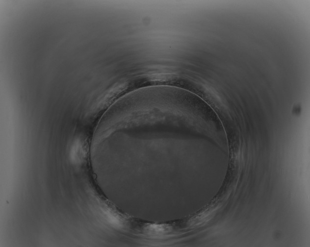 X0000089960277200707061146