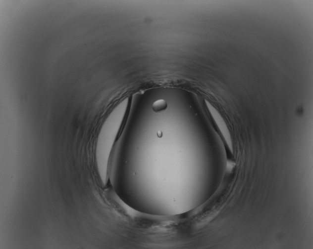 X0000089960280200707061146