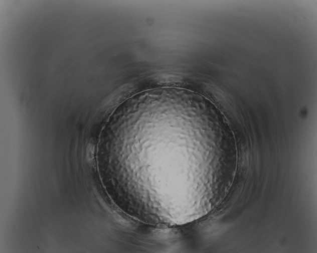 X0000089960281200707061146