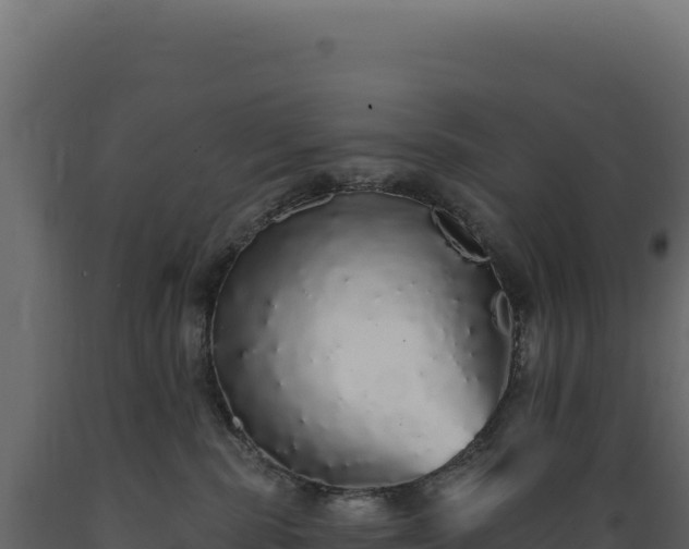 X0000089960283200707061146
