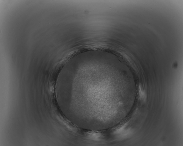 X0000089960284200707061146