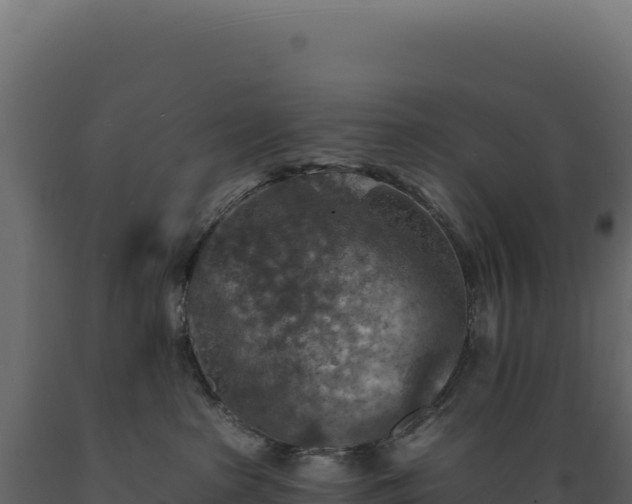 X0000089960285200707061146
