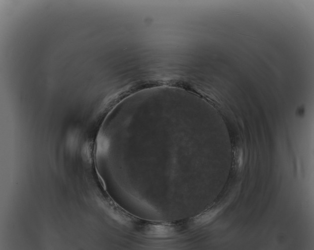 X0000089960286200707061146