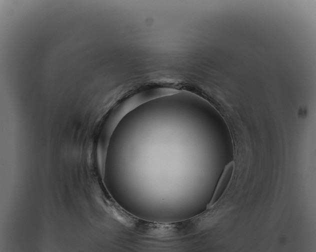 X0000089960288200707061146