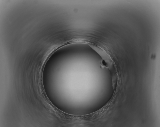 X0000089960289200707061146
