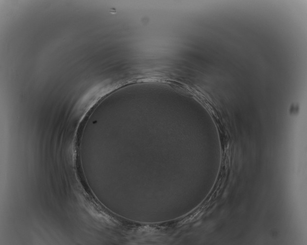 X0000089960290200707061146