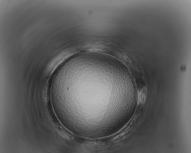 X0000089960291200707061146