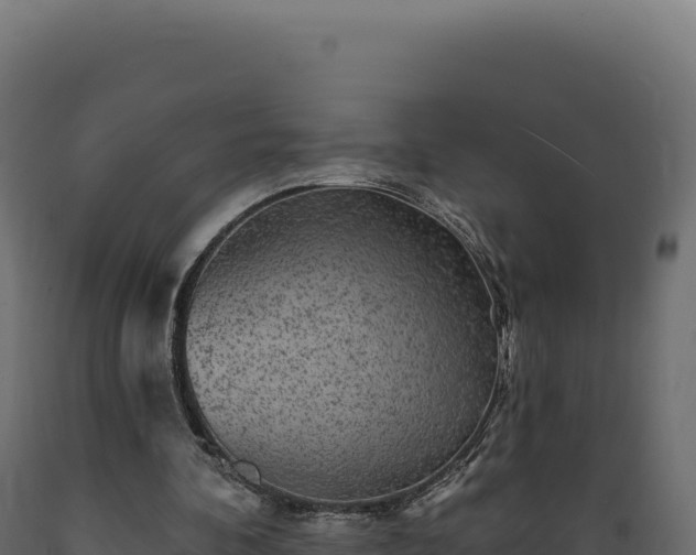 X0000089960292200707061146