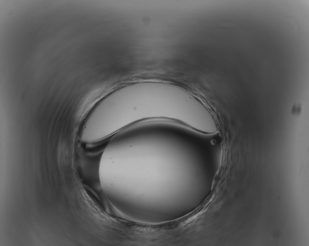 X0000089960293200707061146