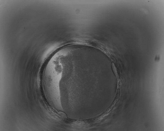 X0000089960294200707061146