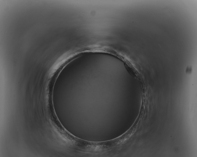 X0000089960295200707061146