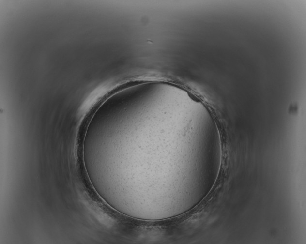 X0000089960296200707061146