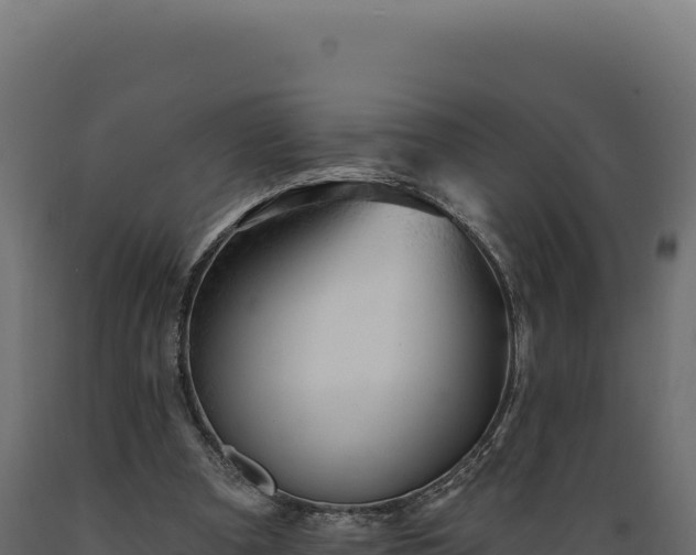 X0000089960297200707061145