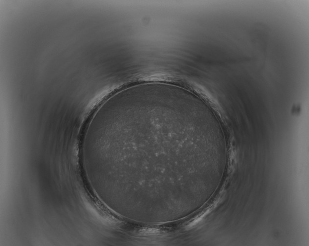 X0000089960298200707061145