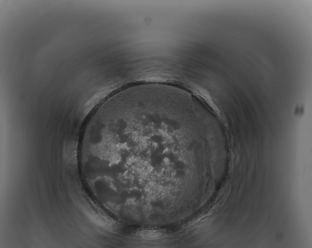 X0000089960299200707061145