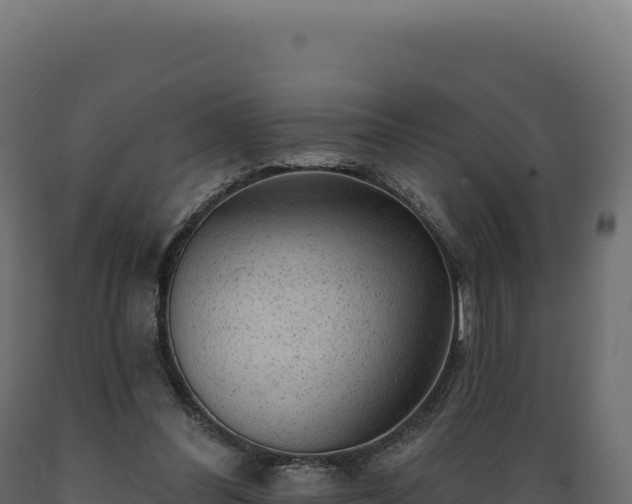 X0000089960300200707061145