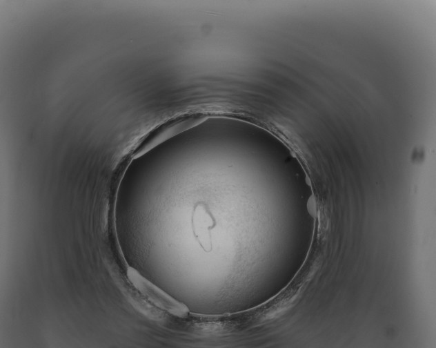 X0000089960301200707061145