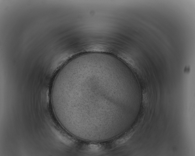 X0000089960302200707061145