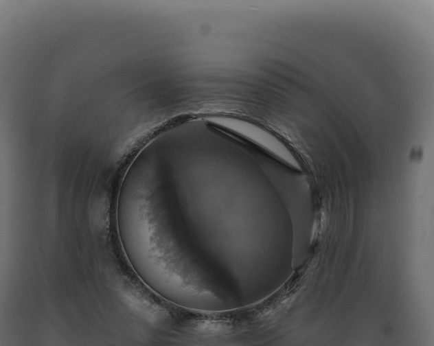 X0000089960303200707061145