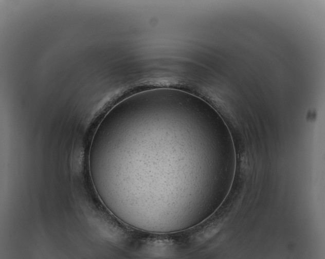 X0000089960304200707061145
