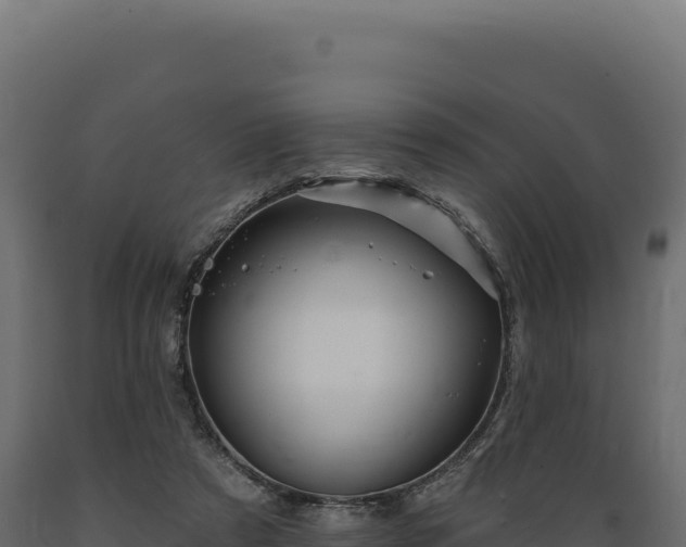 X0000089960305200707061145