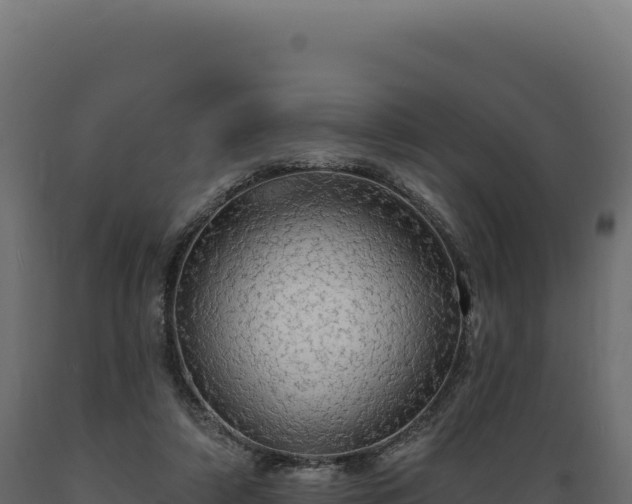 X0000089960306200707061145
