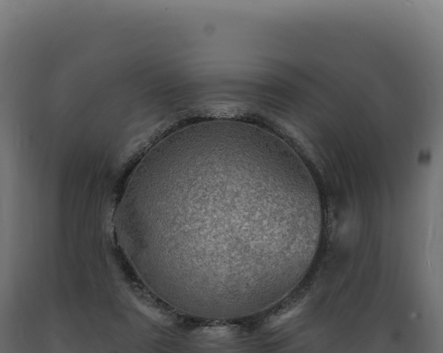 X0000089960307200707061145
