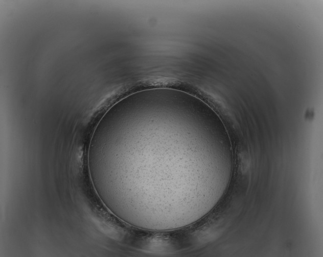 X0000089960308200707061145