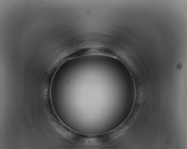 X0000089960309200707061145