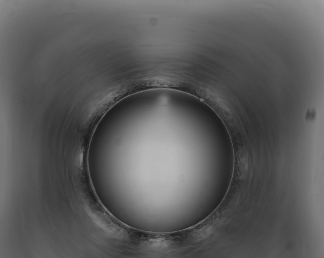 X0000089960310200707061145