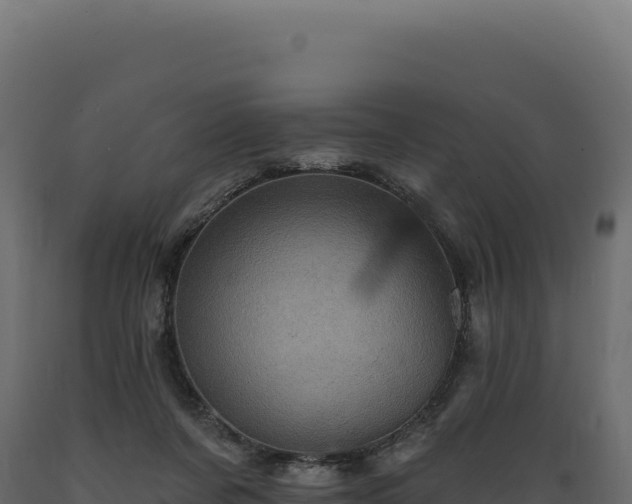 X0000089960311200707061145
