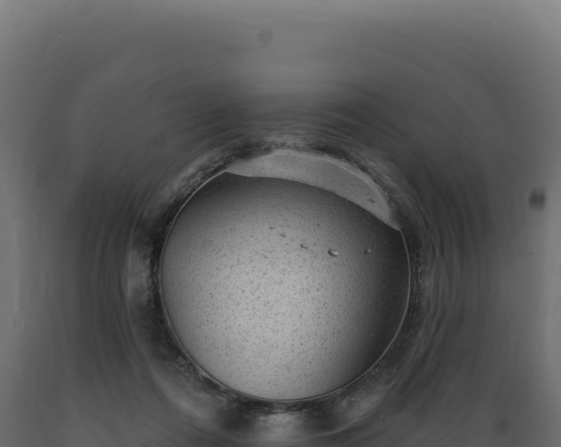 X0000089960312200707061145