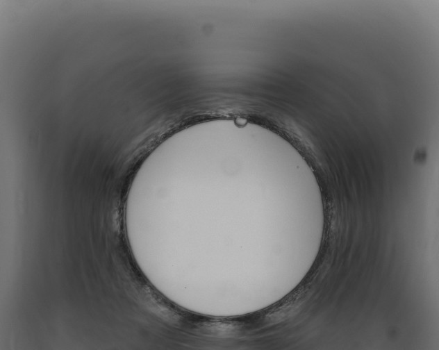 X0000089960313200707061145