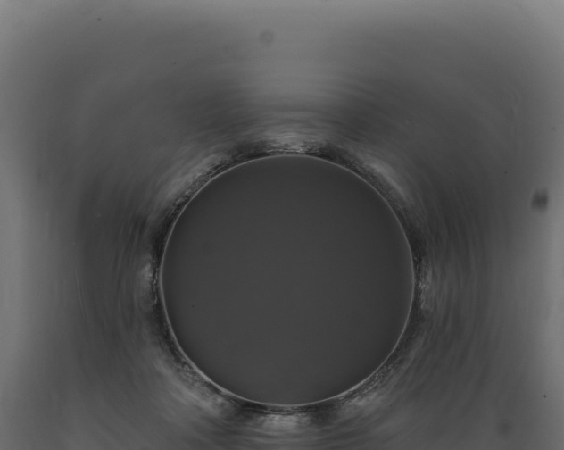 X0000089960314200707061145