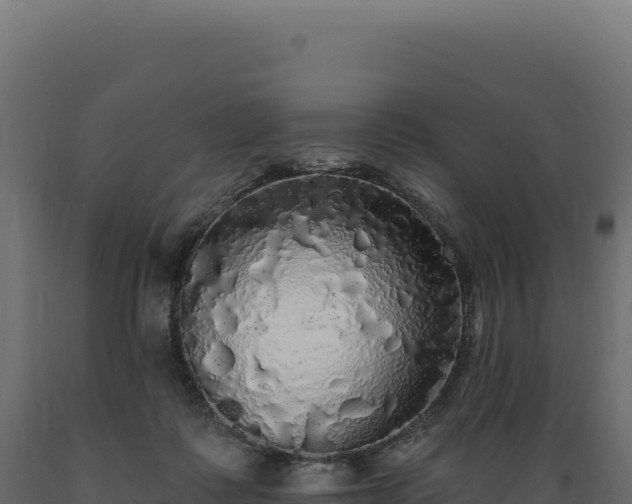 X0000089960315200707061145