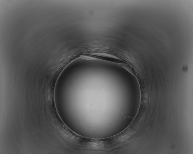 X0000089960317200707061145