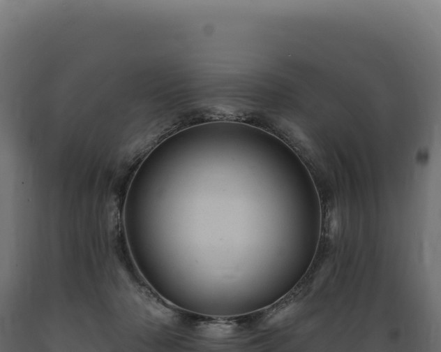 X0000089960318200707061145