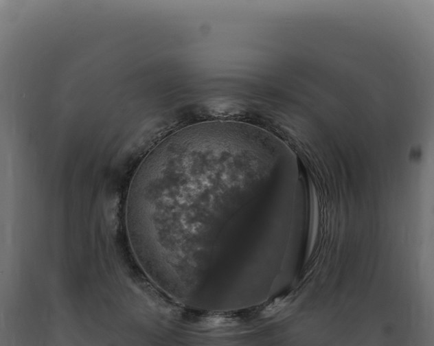 X0000089960319200707061145