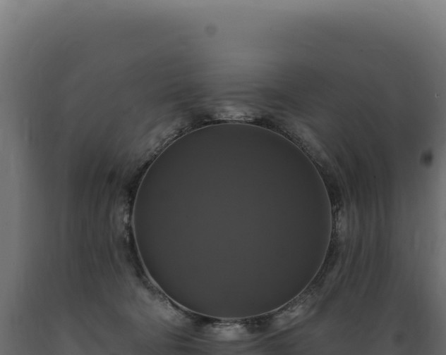 X0000089960322200707061145