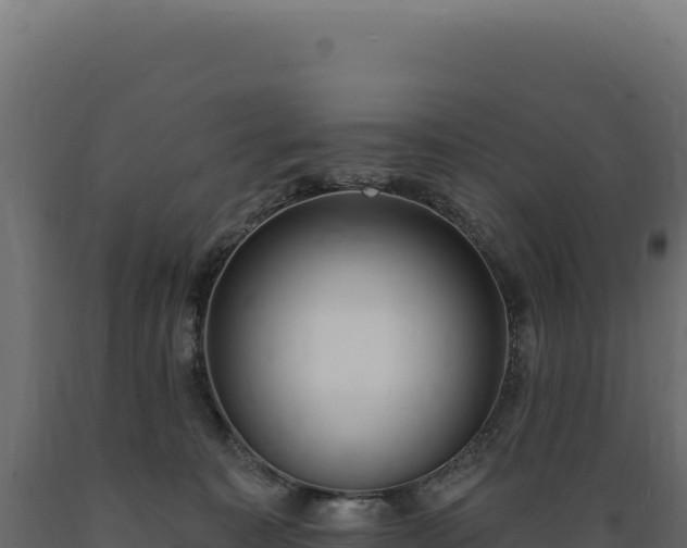 X0000089960323200707061145