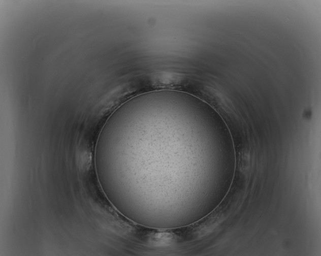 X0000089960324200707061145