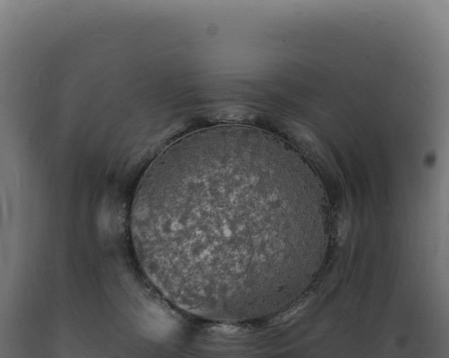 X0000089960326200707061145