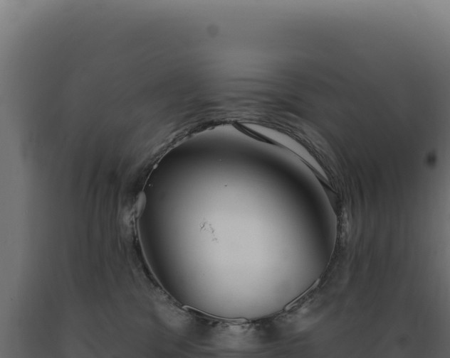 X0000089960329200707061145