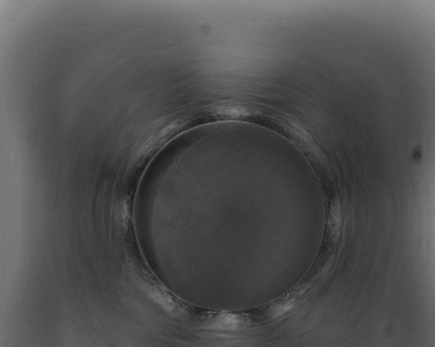 X0000089960330200707061145