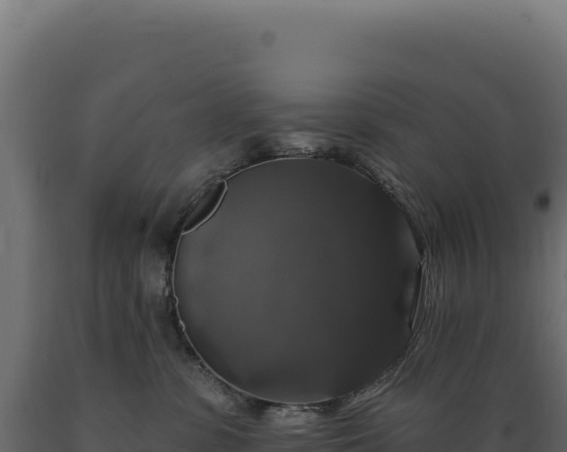 X0000089960331200707061145