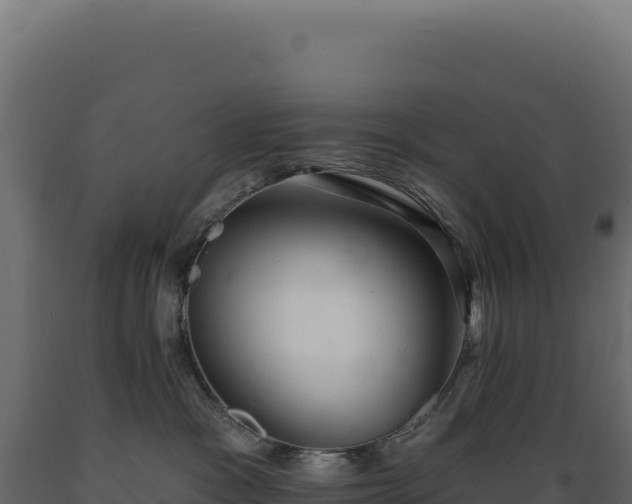 X0000089960333200707061145